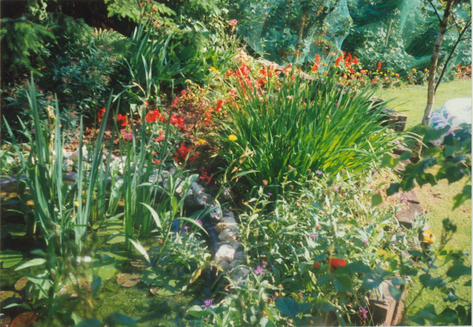 Garten 1992 03.jpg